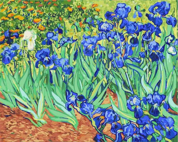 Meecaa Paint by Numbers Iris Flower Picasso Kit for Adults Beginner DIY Oil Painting 16x20 inch (Flower, Framed) - Image 2