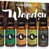 Eternal Essence Oils Woodsy Premium Fragrance Oils Set - Including Pine, Cedar Wood, Sandalwood, Bamboo & Teak, Woodland Bay and Frankincense - Rustic and Woody Scented Oils (6 Pack) - Image 2