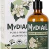Jasmine Essential Oil (4Oz) Pure Natural Jasmine Oil Aromatherapy Essential Oil for Diffuser, Skin Care, Humidifier, Massage, Soap & Candle Making, Bathing - 118ml - Image 2