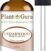 Cedarwood (Himalayan) Essential Oil 4 oz 100% Pure Undiluted Therapeutic Grade for Skin, Body and Hair Growth. Great for Aromatherapy Diffuser and DIY Soap Making - Image 2