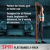 SPRI Flat Bands 3-Pack - Resistance Band Kit Set with 3 Levels of Resistance - Exercise Bands for Strength Training, Flexibility, & Body Workout - Versatile Fitness Tool - Light, Medium, and Heavy - Image 3