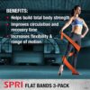 SPRI Flat Bands 3-Pack - Resistance Band Kit Set with 3 Levels of Resistance - Exercise Bands for Strength Training, Flexibility, & Body Workout - Versatile Fitness Tool - Light, Medium, and Heavy - Image 4
